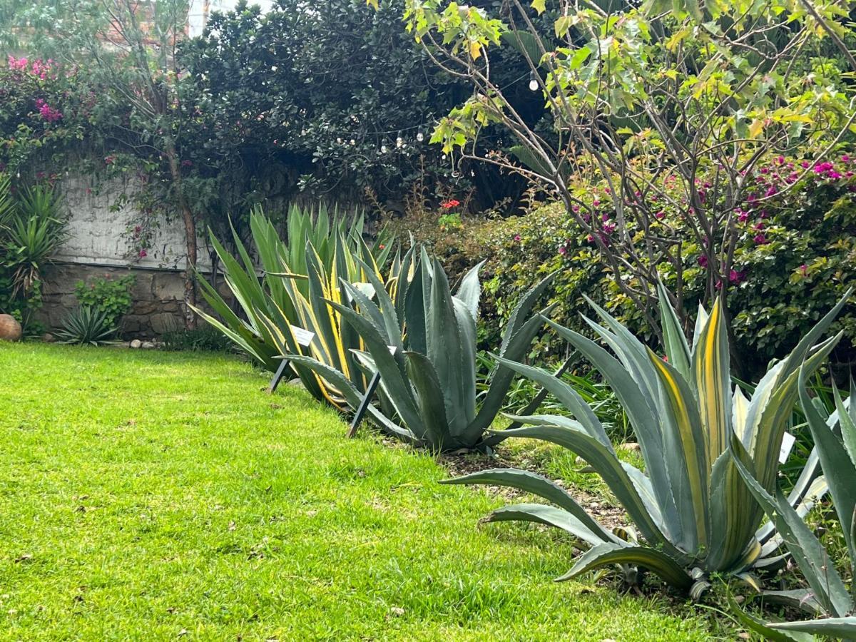 CASONA LARA Lodge&Distillery Caraz Eksteriør billede
